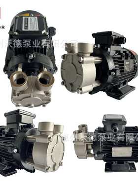 供应550W导热油泵WD-07-200高温电动热油循环泵380V铜叶轮旋涡泵