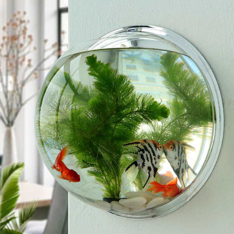 亚克力壁挂鱼缸挂墙悬挂式水族箱生态缸创意迷你圆形镜面小金鱼缸