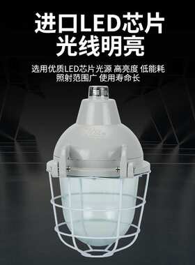 防爆灯壳 一开启防爆灯 一启式 db-125