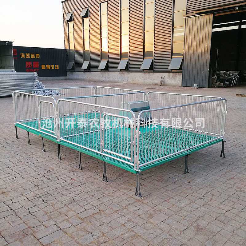 厂家 复合仔猪保育床单体双体母猪产床保育两用一体复合保育床