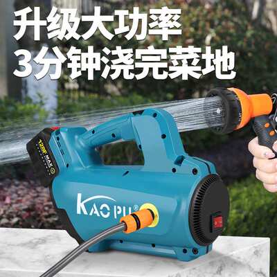 便携式洗车机锂电双核抽水机农田农用灌溉浇菜家用户外高压水泵