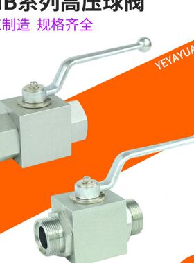 1球阀2  高压  H 28L5分S25/R312N- 2238 /K G320T384301018BRP