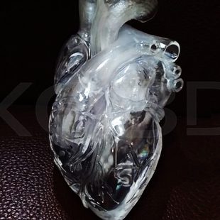 3d打印透明水晶心脏模型左心房右心脏肝脏肾脏胃部子宫医学定制