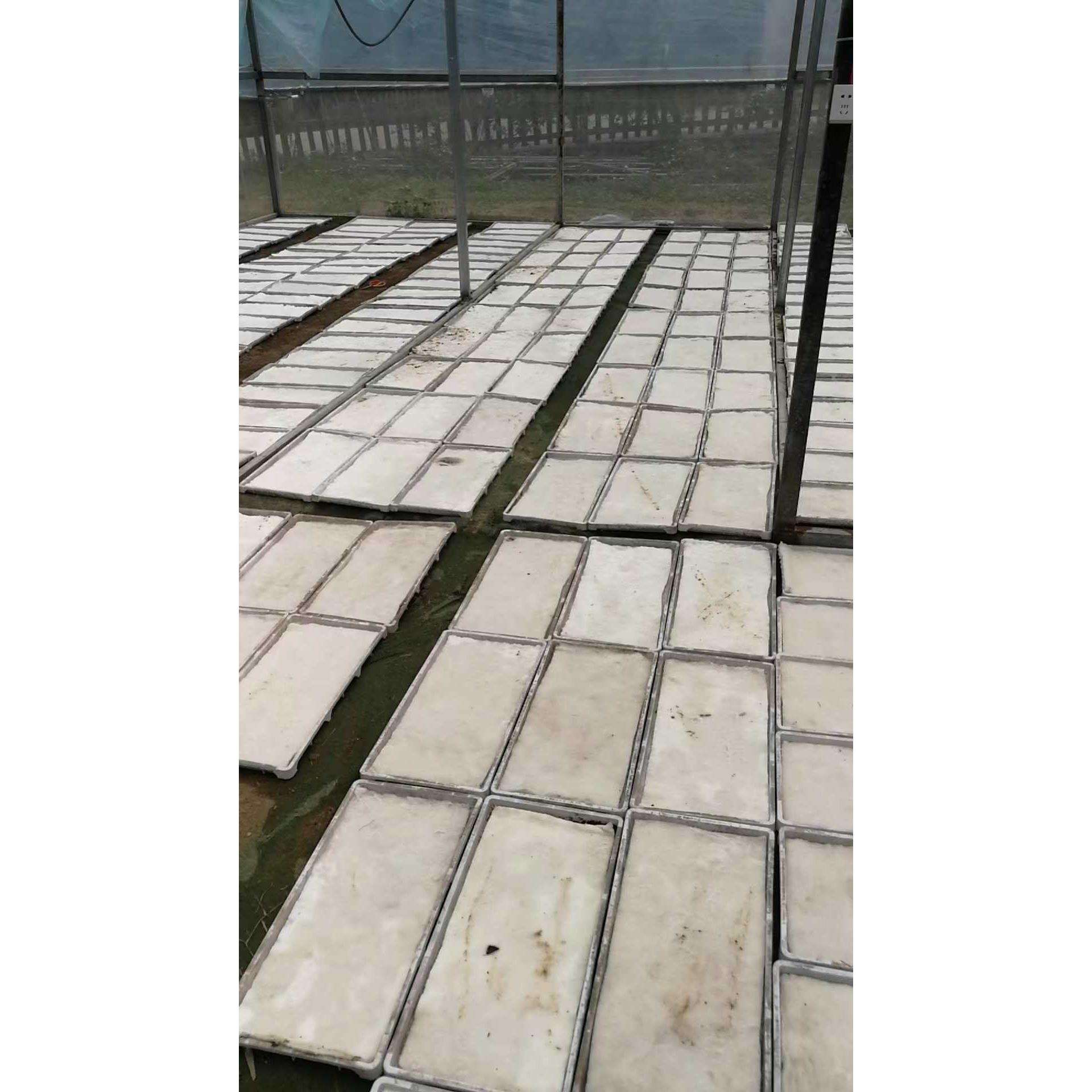 水稻播种机育秧机稻谷育苗插秧机单人手动手推式播谷子机器小型