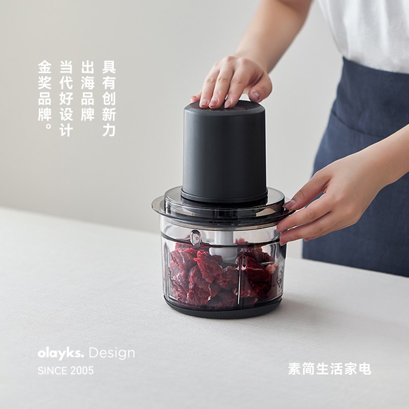 olaykcs立时绞肉机家用小型电动碎肉打馅蒜泥多功能全自动搅拌机