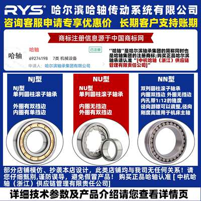 RYS 哈轴传动 N NU NJ NUP 321 322 324 326 N M EM E 圆柱滚子