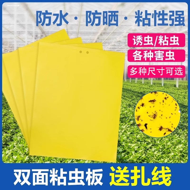 粘虫板黄板双面h粘小飞虫神器果园果蝇诱捕大棚灭苍蝇贴强力粘蝇