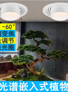 嵌入式植物墙补光筒灯全光谱发财树 绿植生长灯仿太阳led天花射灯