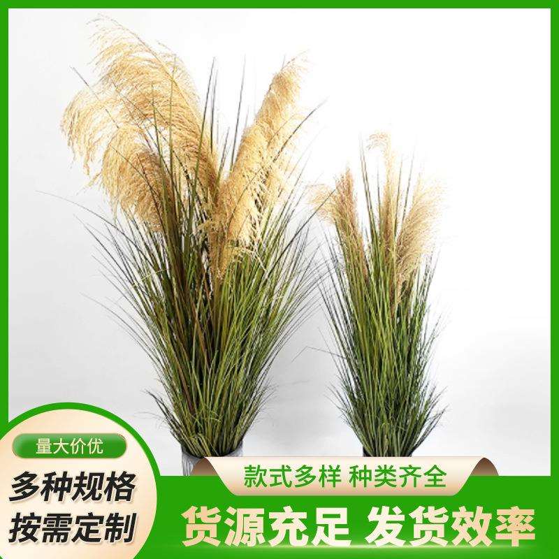 仿真人造花假竹子芦苇狗尾草盆栽菖蒲苇草洋葱草软装仿真绿植装饰