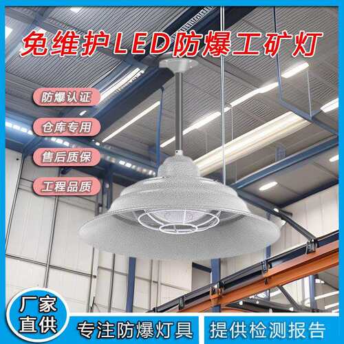 跨境LED防爆灯 仓库厂房工矿灯车间防水隔爆型三防吊杆工业照明灯