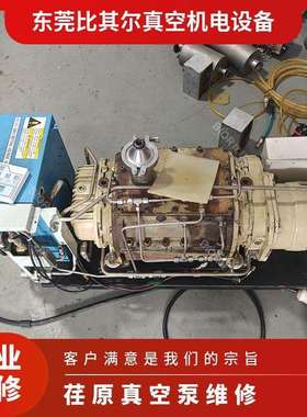 EBARA荏原ESA25-D干式真空泵维修卡死故障专业检修指导