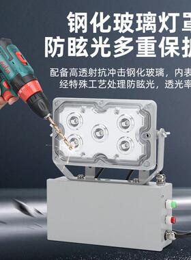 NFC9178固态应急照明灯15W低顶灯LED配电房走廊风筒应急灯GAD605