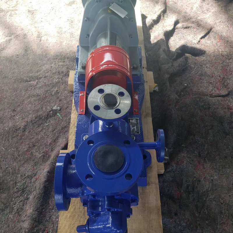 现货供应高粘度内齿泵 NYP转子泵 保温齿轮泵 蜂蜜粘稠液体输送泵