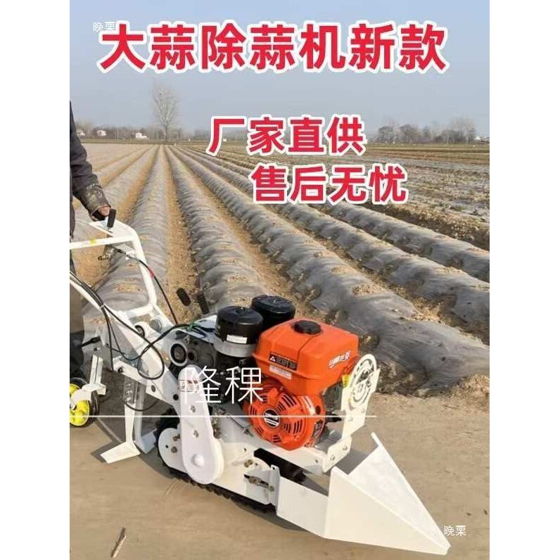 新款大蒜收获机手推两行汽油自走式挖蒜机起机出小型农用自动