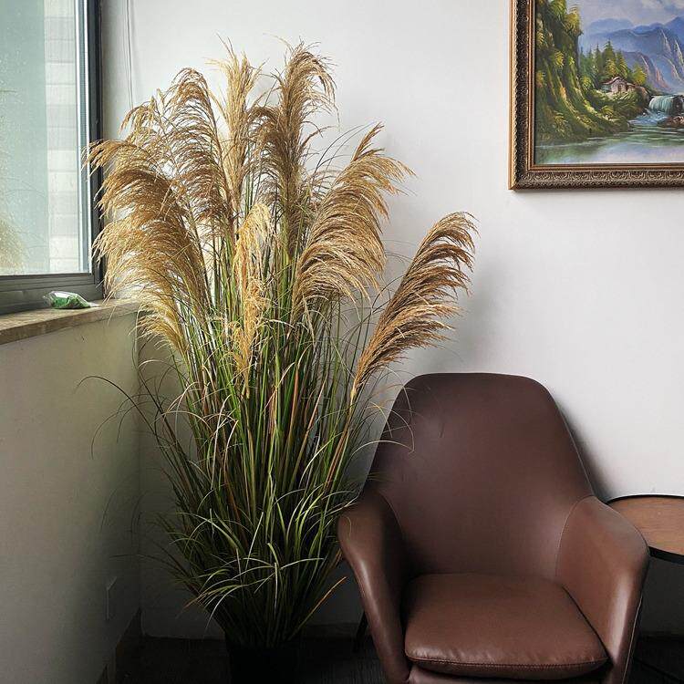 仿真植物盆栽芦苇草隔断室内门店橱窗落地装饰仿生绿植墙景观摆件