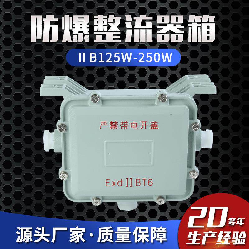 防爆整流器箱ⅡB125W-250W防爆接线箱防爆应急电源箱配电箱分线箱