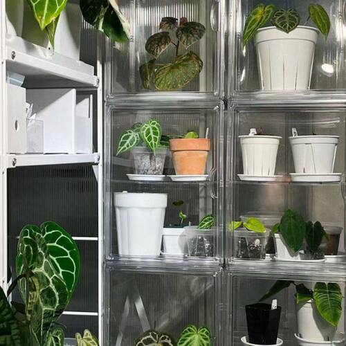 植物热暖植物防雨箱室带房小温苗育家庭棚闷养保温箱保湿阳台箱花