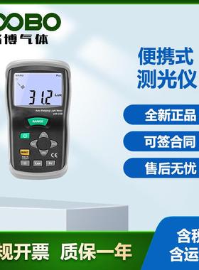 DT-1308便携式测光仪多功能数字式光度计数字式专业型照度计