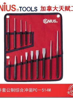 Genius天赋进口工具14件套公制综合冲凿组冲子凿子组PC-514M