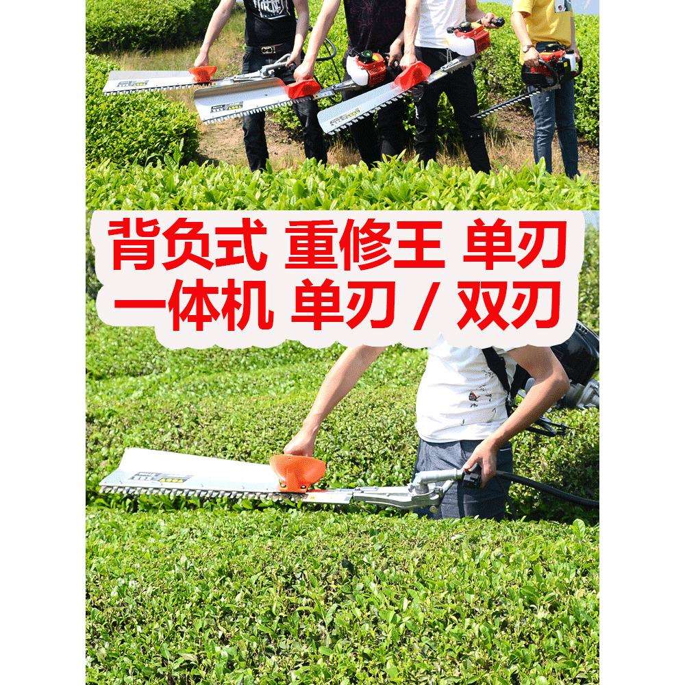 品质背负重修王剪园林绿篱机单双刃一体机绿化高枝修剪高枝锯
