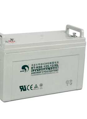 赛特蓄电池BT-HSE-125-12 12V125AH 通信电源 安防系统 信号系统