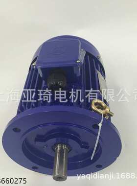 AEVF71-6-0.37KW-1/2HP地板机电机轴径14mm立式