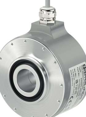 倍加福编码器ENI90PL-H25JA5-1024UD1-RC1-70110982-100085