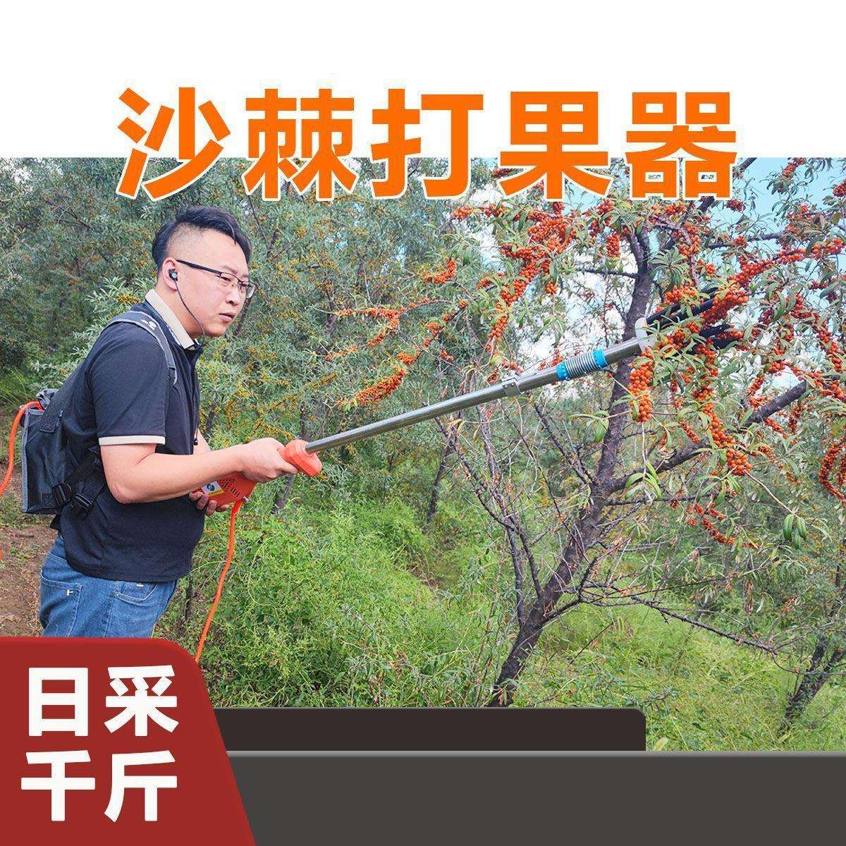 加强款沙棘大功率电动果实采摘机山茱萸酸枣花椒震动摇树打果神器
