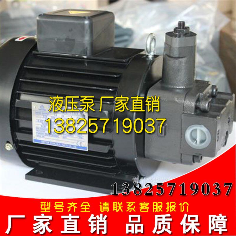 台湾变量叶片泵电机组合塑机机床马达压力泵成套设备高压泵液压泵