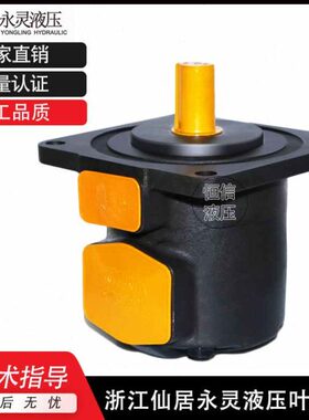 SF-/-643866-L-RR/43仙32叶片泵Q6/SC86YCAF-QCA32P油泵6-居永灵P