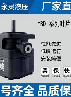 浙江仙居永灵YLC叶片泵YBD系列YBD-2.5/6/10/16/25/32/40/50/6380