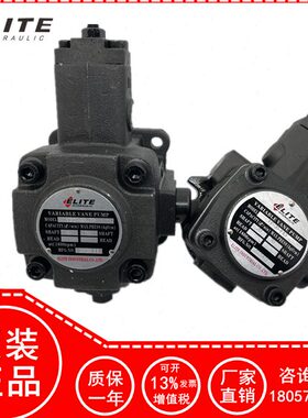 -量V叶片泵 30-F12台湾40 1 70-20 E油泵0PV变A38特 LITEP利15-艾