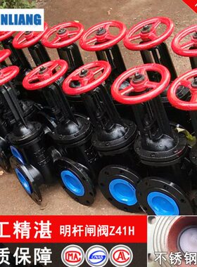 DDN110铸铁 工业41 50 -D0D法兰闸阀25020  N杆闸阀0Z30H明NN