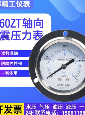 10/带/MPA/T6.6061./25//2.5//Y4/边6耐震压力表/向40160601Z轴 N