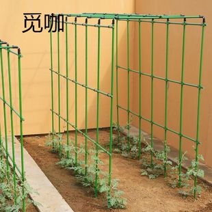 户外黄瓜庭院阳台葡萄种菜支架架子架子攀爬爬花架豆角植物瓜架藤