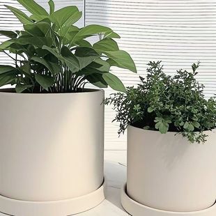 北欧简约白色透气盆陶瓷素烧有孔圆形花盆多肉植物盆栽陶盆带托盘