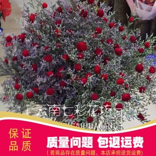 【云南七彩花坊】干花花束鸿运当头大束插花时尚典雅客厅玄关装饰