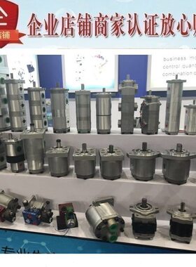 A22P22 - AP-3RRA4P 3P-F422-HGA-FHGR-HG-F22HG-22齿轮泵