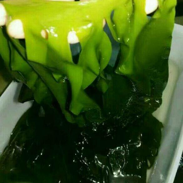 新款其它三海带串好食包装袋才嫩芽火锅真空袋秒裙带菜大连苗烫