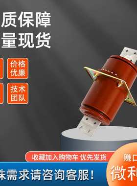 LDZJ-10Q(B)高压电流互感器LFZJ-12发电机中性点保护LDZ穿墙10P15