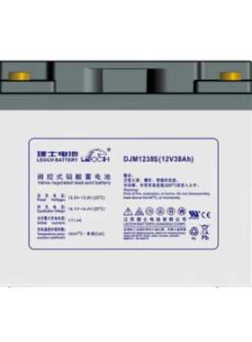 理士蓄电池DJM1238S免维护铅酸12V38AH直流屏UPS/EPS电源机房电池