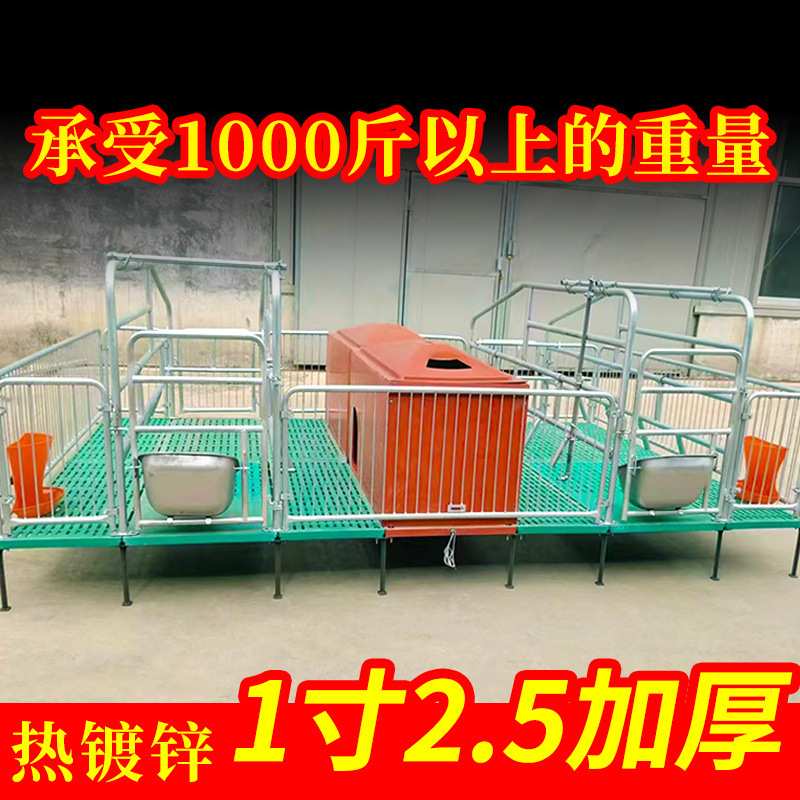国标超厚双体猪用母猪产床保育两用一体产保母猪产床全套一整套