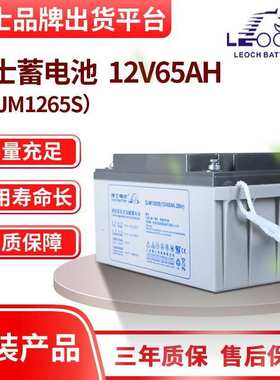 理士蓄电池12V65AH DJM1265S直流屏机房UPS电源储能EPS通讯应急