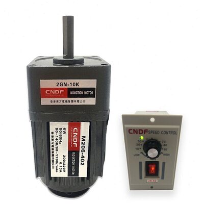 香港东方电机CNDF微型调速电机6W减速机M206-402齿轮箱2GN100K