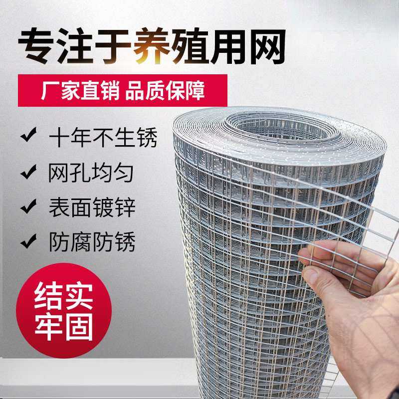 铁丝网围栏热镀锌电焊网片网格围栏养殖网钢丝防护网圈地网荷兰网,3C数码配件,USB灯,淘宝优惠券,粉丝福利购,淘宝优惠卷