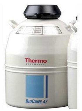 Thermo赛默飞液氮罐热电Thermo ScientificBio-Cane