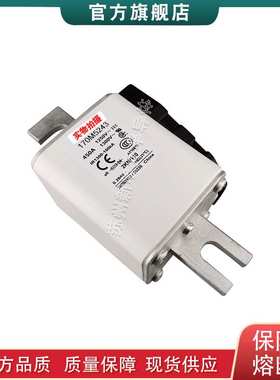 170M5208 5209 5258 5259 5260 巴斯曼bussmann快速熔断器保险丝