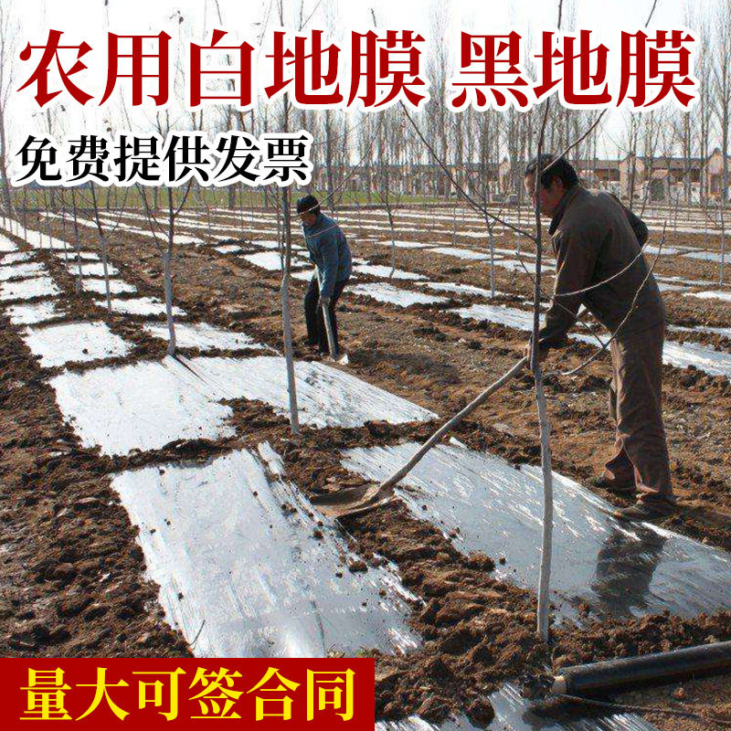 黑地膜反光膜农用保温大棚蔬菜银色地膜果园果树保湿白色塑料薄膜