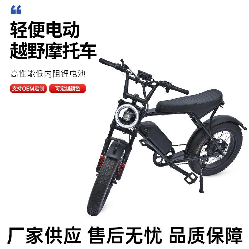 跨境亚马逊20寸复古宽胎越野电动自行车 上下班通勤自行车