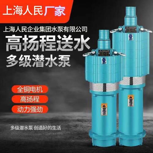 上海人民QY油浸小老鼠农用灌溉工程降水抽水泵多级泵高扬程垒德株